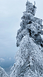 雪