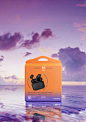 EFM Sensory Ignition Structural Packaging Design - World Brand Design Society : The Brief EFM rebranded their range of mobile phone accessory and device gear in 2015, and in 2021 re-engaged Dessein to assess both the design and structural components of th