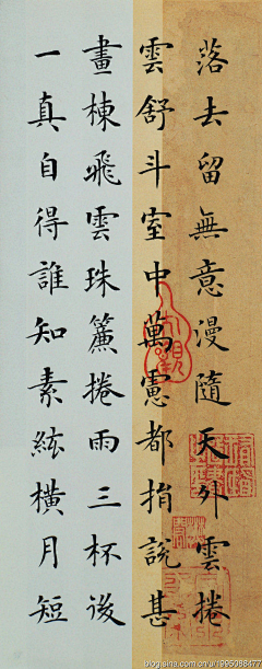 coo-ky_w采集到字体