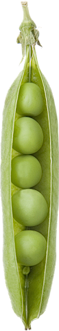 豌豆荚 png