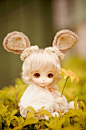My little bunny ♥ by débear~♪ on Flickr.
