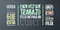 Barata Display Font Family - 3 Fonts 