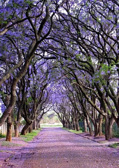 炫酷的美工采集到场景