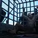 Paranoia