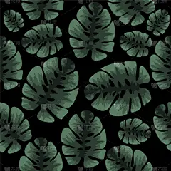 鸡尾酒,叶子,式样,绿色,纺织品,干酪藤,加利福尼亚,壁纸,植物群,联系