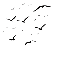 yuannkk采集到素材