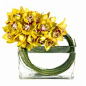Send Fantasy Cymbidium Orchids flowers in New York, NY
