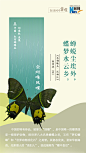 创意海报|在诗词中赏蝶：翩翩舞态 诗以咏蝶 : 中国红河蝴蝶谷即将迎来一场蝴蝶大爆发。
