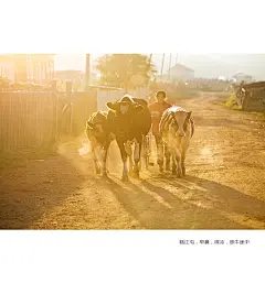 呼伦湖畔，与梦私奔_内蒙古_黄河上下_光影天下_数码生存-小林的摄影设计手绘文字
