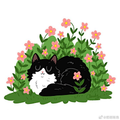 木木林1212采集到动物