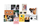 PETSHYVisualIdentity&PackagingDesign，瓦社（wa-she）作品。-古田路9号-品牌创意/版权保护平台