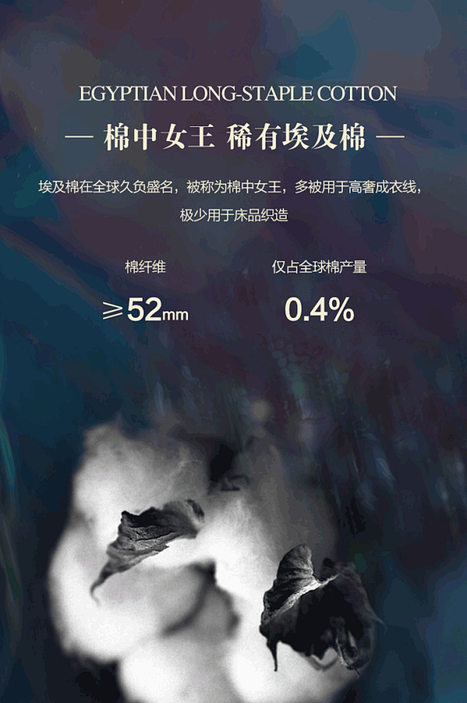 MINE/寐埃及长绒棉床品套件四件套纯棉床单高奢款床上用品 芙洛拉-tmall.com天猫
