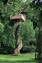 Tree House，你想（gan）住吗？#旅行#