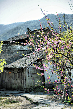 Leоn采集到旅行