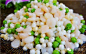 鸡头米炒虾仁鸡头米苏州水八仙一种，通常都是和虾仁一起煸炒下，美味营养。