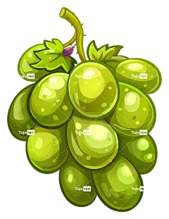 藤蔓—新鲜绿葡萄、水滴的特写