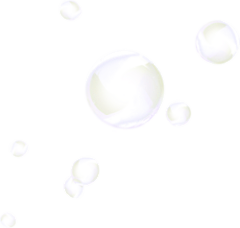 Shane_Shane采集到花草