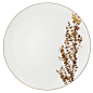 You can never go wrong with Bernardaud. Bernardaud "Vegetal" Dinnerware | Bloomingdale's: