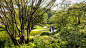 Sun City Tachikawa Showa Kinen Koen-David Lloyd-8647.jpg