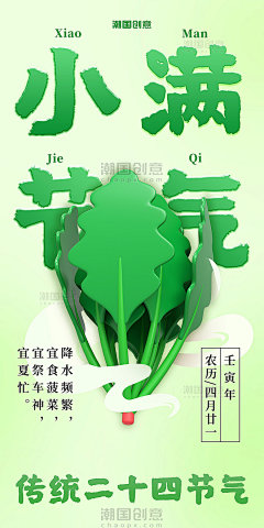 传统二十四节气小满3d菠菜海报