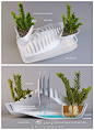 园林景观网：这款“流线型”碗碟架花瓶由米兰设计工作室DesignLibero设计而成。“流线型”的空间有双重功能。它是一个用来改造餐具的架子，同时可以在架子中种植自己喜欢的小型植物。http://t.cn/zO1MGTv