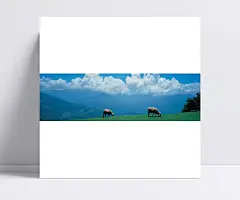 高原|JPG格式,白云,草原,电脑壁纸,风景图片,高清桌面,高原,山羊,摄影图片,高原原野,高原山脚荒原