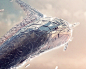 Tom Alex Buch on Behance