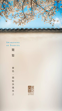 S-Arpels采集到T - 汤臣一品
