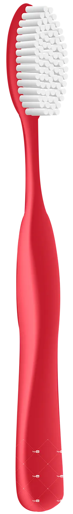 牙刷物品png免抠图片素材