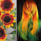 Hairdresser Is Inspired By Nature To Create Colored Hair And The Result Is Incredible