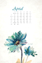 angeliaqiqi  的插画 四月小雏菊。