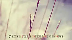  2013年7月桌面日历精选壁纸   #精选# #优质# #日历#