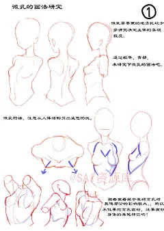 #SAI资源库# 动漫女性人物胸的绘画思路及方法借鉴，自己收藏，转需~（画师：ほ～さく ）