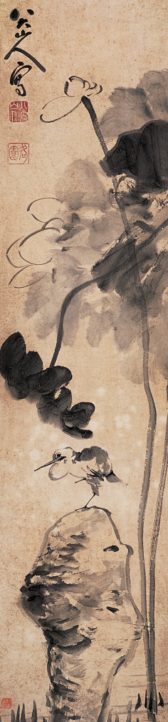 八大山人 荷花小鸟 立轴 - 八大山人 - b - 国画论坛 - powered by d.