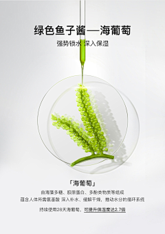 抠图仔啊采集到详情