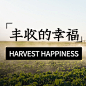 通用农民丰收节祝福实景公众号次图