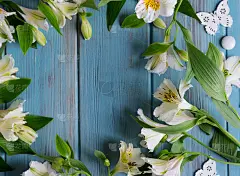 插花贺卡的框架。木制背景上有自然紫花的横幅。用鸢尾花作为文本框。平躺，俯视图。