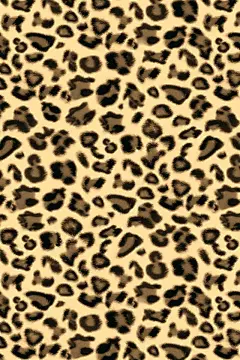 iPhone 性感豹纹锁屏壁纸0910 (1)10194656_iPhone5壁纸|iPhone4s壁纸|iPad2壁纸免费下载-苹果园