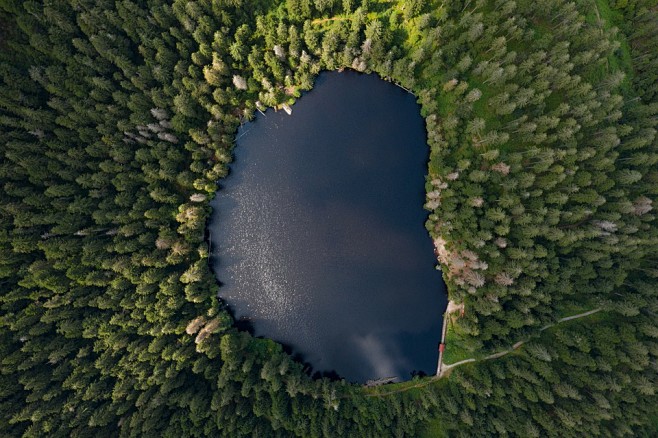 湖, Waldsee, 森林, 水, 景...