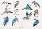 萧朗在教画时的画稿（禽鸟、草虫），收藏！_画法 : 萧朗先生在长期花鸟画教学中，所掌握的花鸟画教学方法应有尽有。萧先生小写意画法的基本要领是突出一个“写”字，其每一笔都如写毛笔字那样充满了书法的神韵。他有时以墨为彩，有时以彩为墨，也有时彩墨混用，完全按实际的艺…