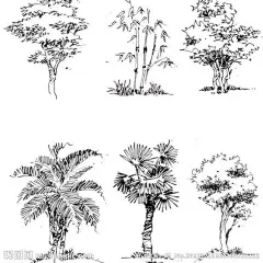 景观建筑和植物手绘资料集，可直接打印: 
