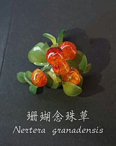 viixhu采集到热缩片
