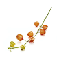 Japanese Lantern Artificial Flower Stem