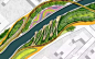滨江地区景观规划设计意向.webp当水流流过一个物体是，受自然力影响会形成一个编织状的几何形。景观规划设计方案将会采用这种河流形态意向作为其循环网络，将东南西北连接起来。再通过这种设计将住宅区连接起来。景观设计师的设计以几何河床为灵感，创造出一种新的水态都市主义景观设计。这种设计为滨水景观区住户提供一种更大社区的空间感受，同时通过滨水景观河保持其景观语言的独特性。