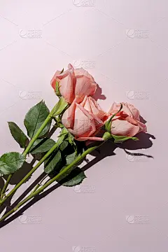 美丽的春花花束