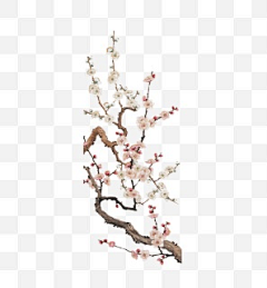 X潇洒哥采集到素材