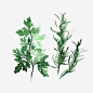 绿色树叶高清素材 手绘 树叶 绿色 风景 免抠png 设计图片 免费下载