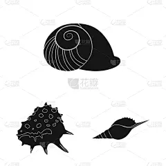 分离着色,自然,海洋,品牌名称,一个物体,鸡尾酒,螺线,海产,布置,收集