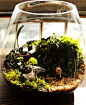 创意植物办公室桌面瓶小品绿植盆栽