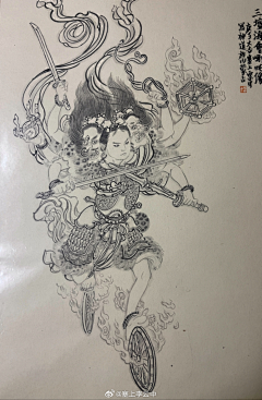 猪笼草969采集到线稿画